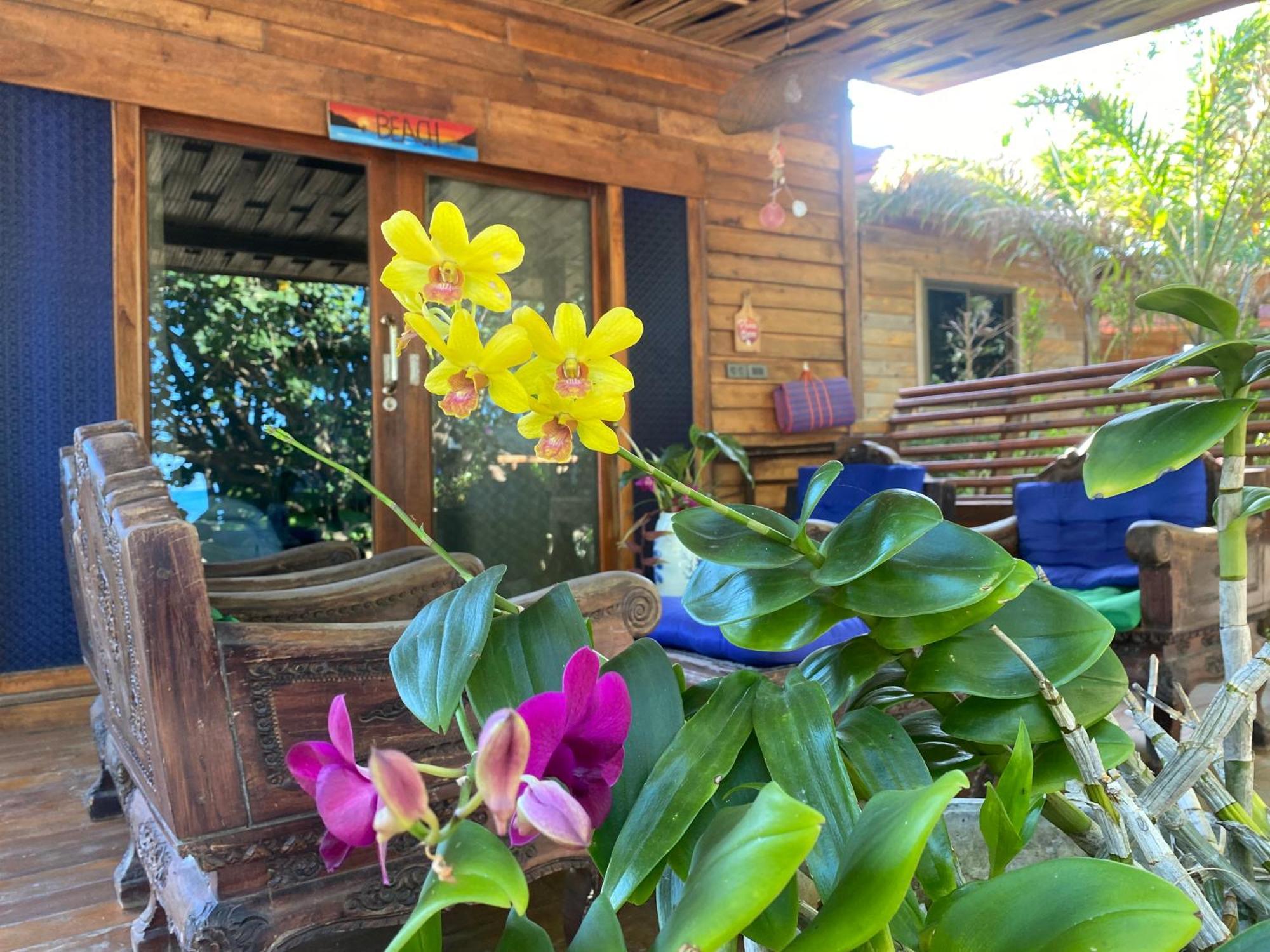 Coconut Lanta Resort @Klong Dow Beach 甲米 外观 照片
