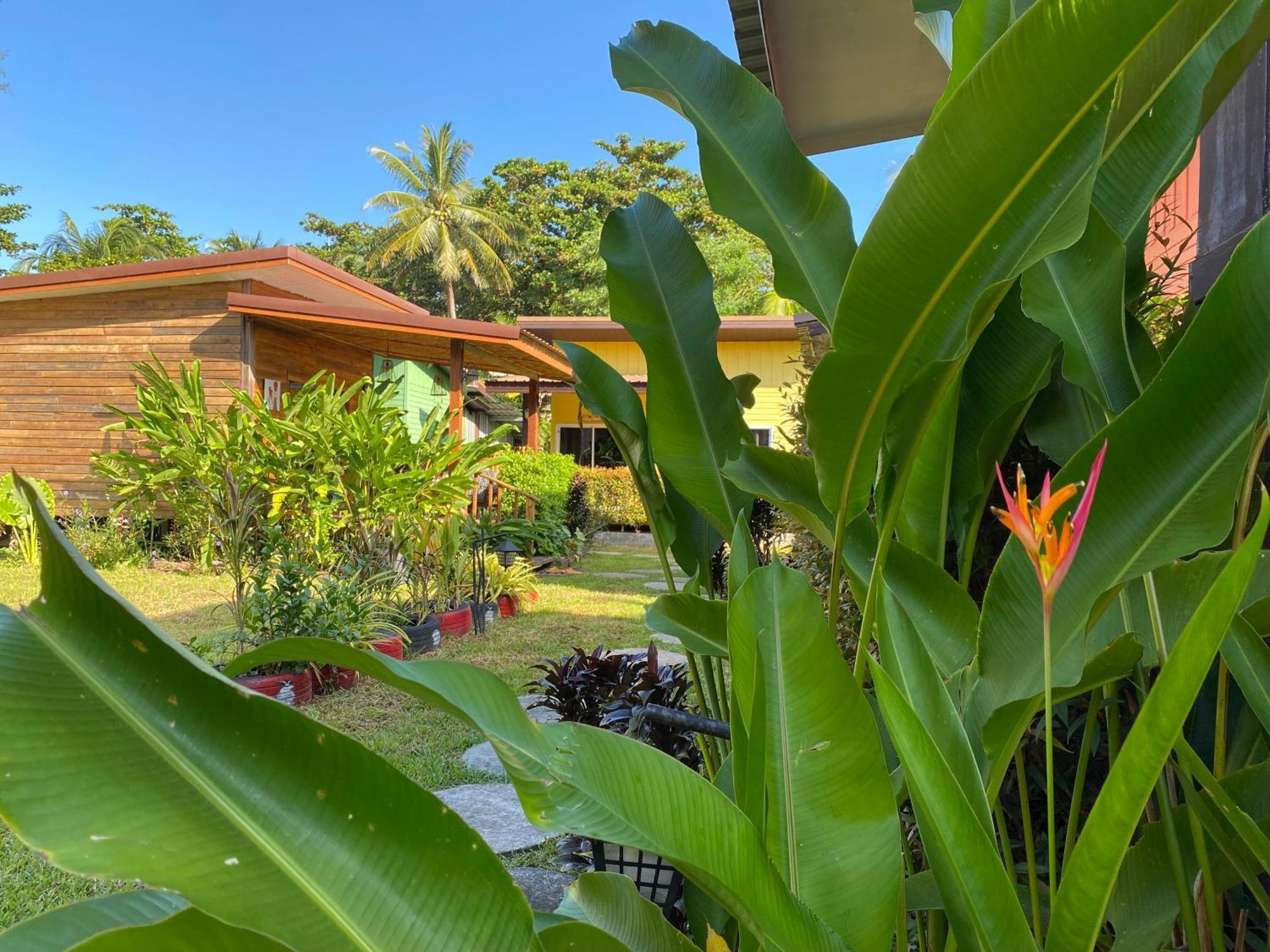 Coconut Lanta Resort @Klong Dow Beach 甲米 外观 照片